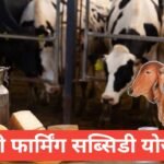 Dairy Farming Subsidy Yojana