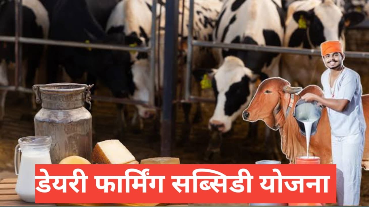 Dairy Farming Subsidy Yojana