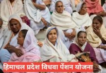 Himachal Pradesh Vidhwa Pension Yojana 2026 : पात्रता और आवेदन प्रक्रिया Himachal Pradesh Vidhwa Pension Yojana